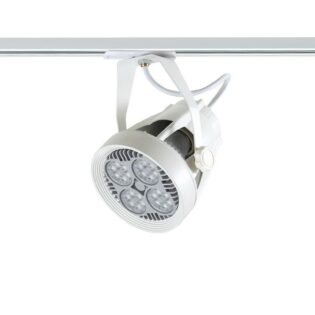 Aca-Lighting WHITE E27 PAR30 TRACK LIGHT 2WIRES (1PHASE)