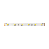 Ταινίες LED κι Εξαρτήματα ΛΩΡΙΔΑ LED 5M 4.8W/M 550LM/M 24V DC IP20 3000K Ra80 8mm