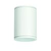 Οροφής E27 PAR30  ROUND CEILING LUMINAIRE 230V AC MATT WHITE IP65 MAX.35W