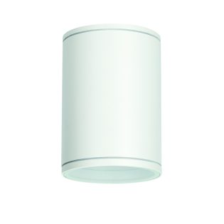 Οροφής E27 PAR30  ROUND CEILING LUMINAIRE 230V AC MATT WHITE IP65 MAX.35W