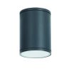 Οροφής E27 PAR30  ROUND CEILING LUMINAIRE 230V AC DARK GREY IP65 MAX.35W